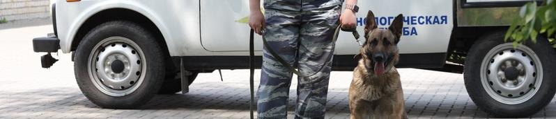    Фото: пресс-служба МВД России по Белгородской области