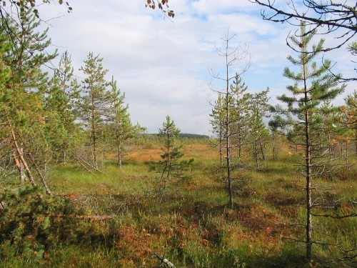 некуда идти