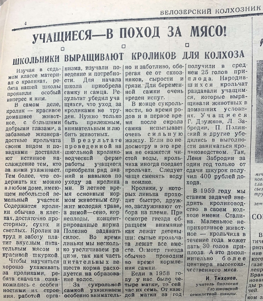 Статья о разведении кроликов в газете "Белозерский колхозник" от 8 февраля 1959 года