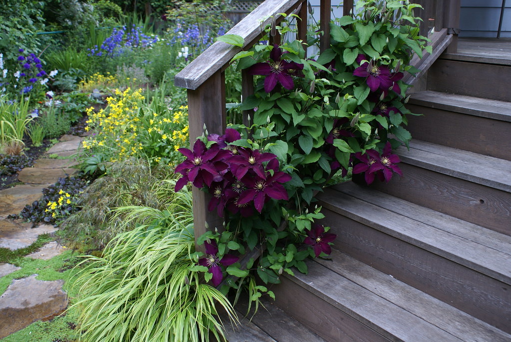 фото с сайта flickr.com