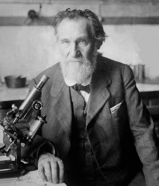 На фото: Илья Ильи́ Мечников (3 [15] мая 1845, Ивановка, Купянский уезд, Харьковская губерния — 2 [15] июля 1916, Париж) —  биолог, лауреат Нобелевской премии в области физиологии и медицины (1908).