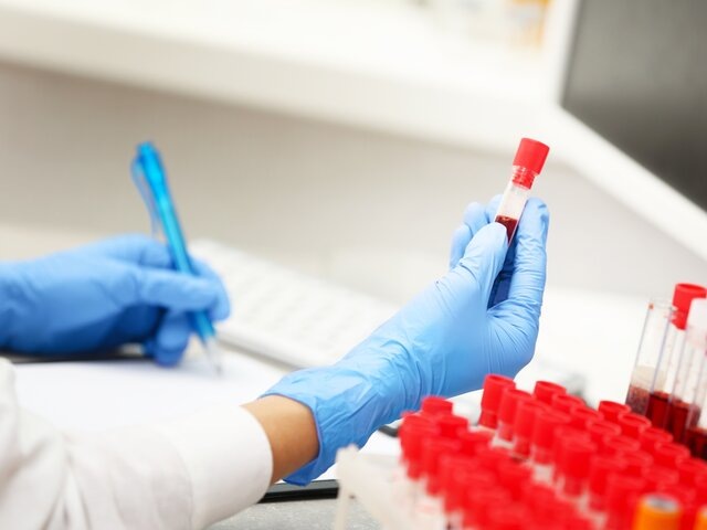    Фото: 123RF/serezniy