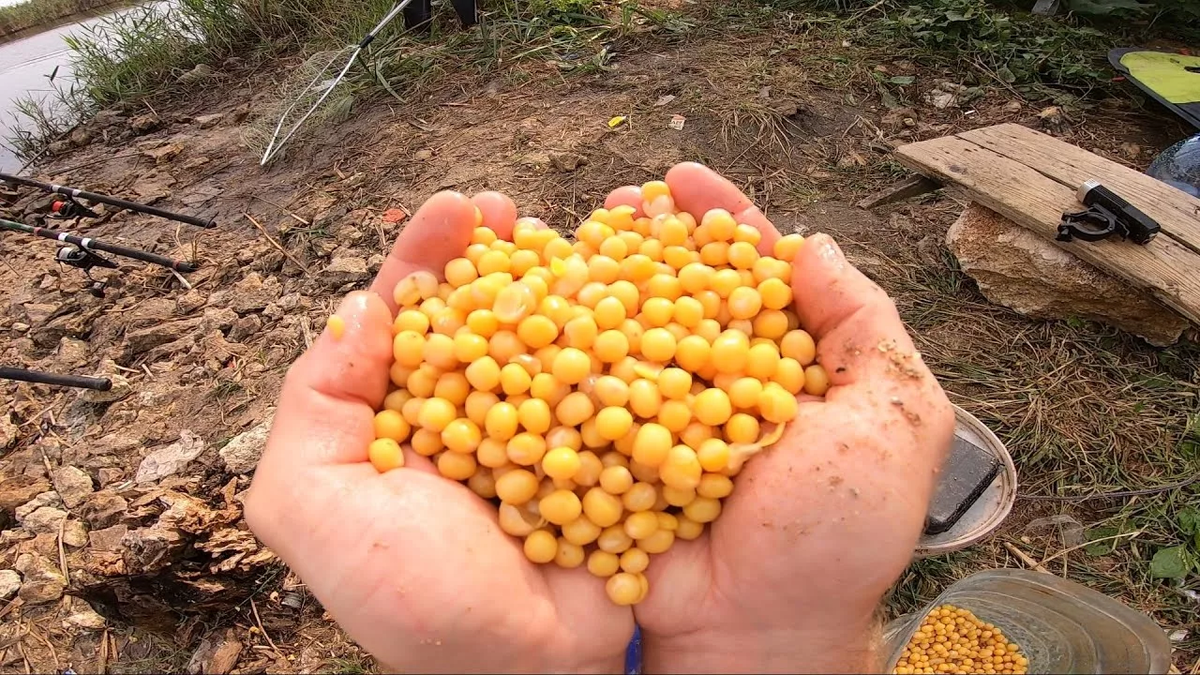 Фото с сайта: https://i.ytimg.com/vi/kPorEDljdC0/maxresdefault.jpg