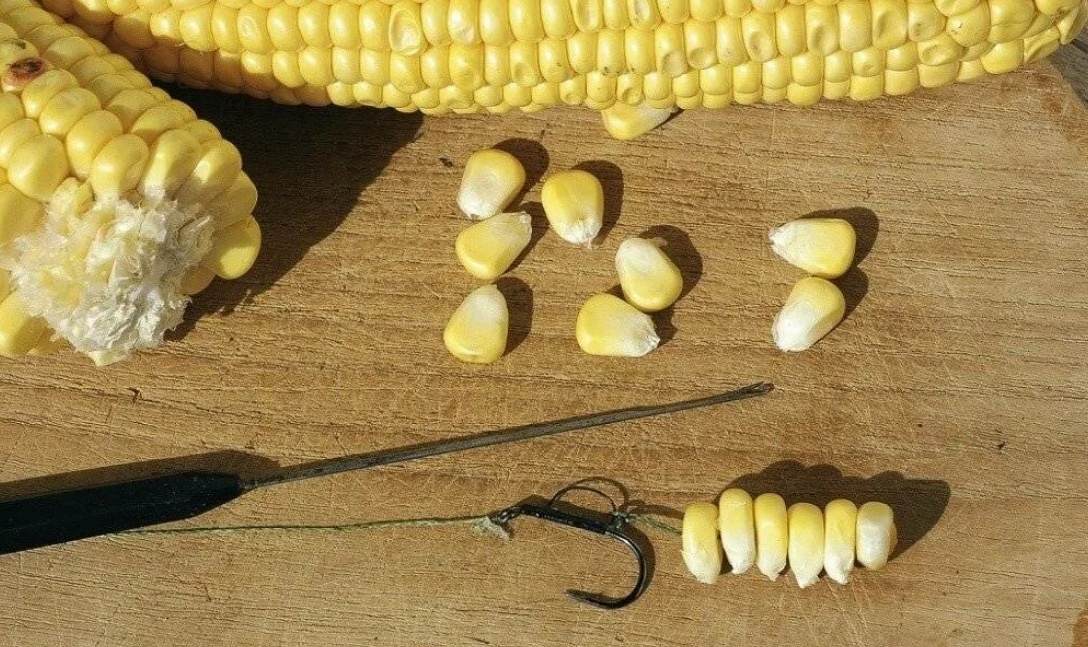 Фото с сайта: https://sun9-7.userapi.com