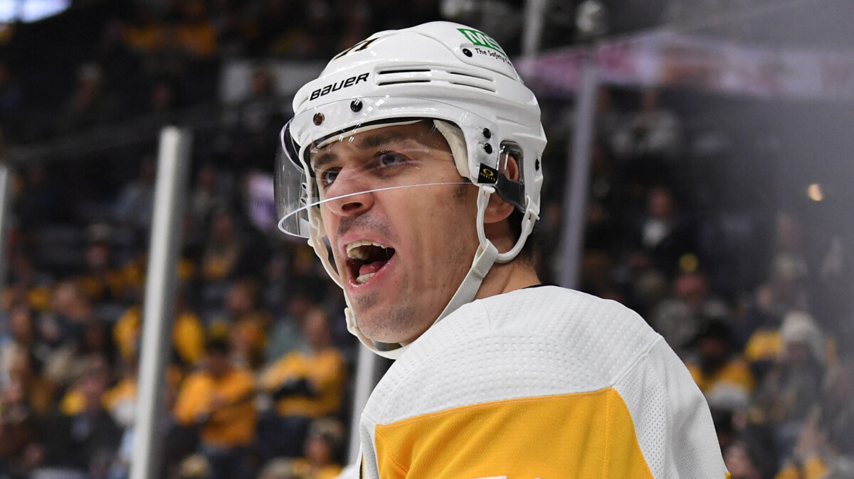 Малкин. Фото из открытых источников сети Интернет