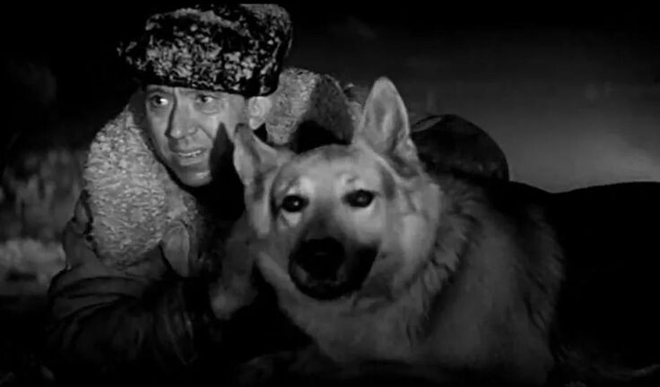 Дейк полюбил Никулина почти, как хозяина