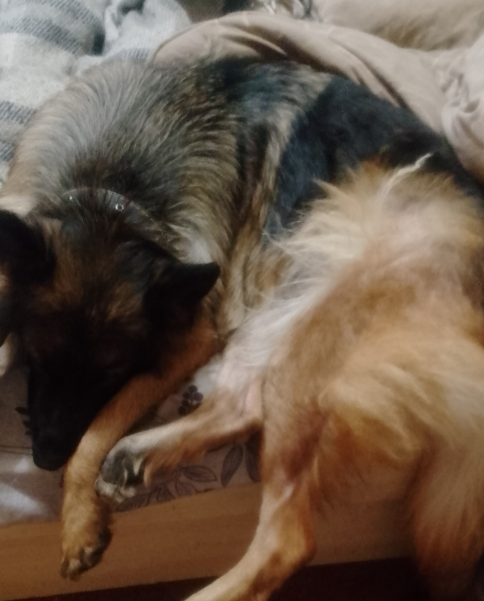 Личное фото