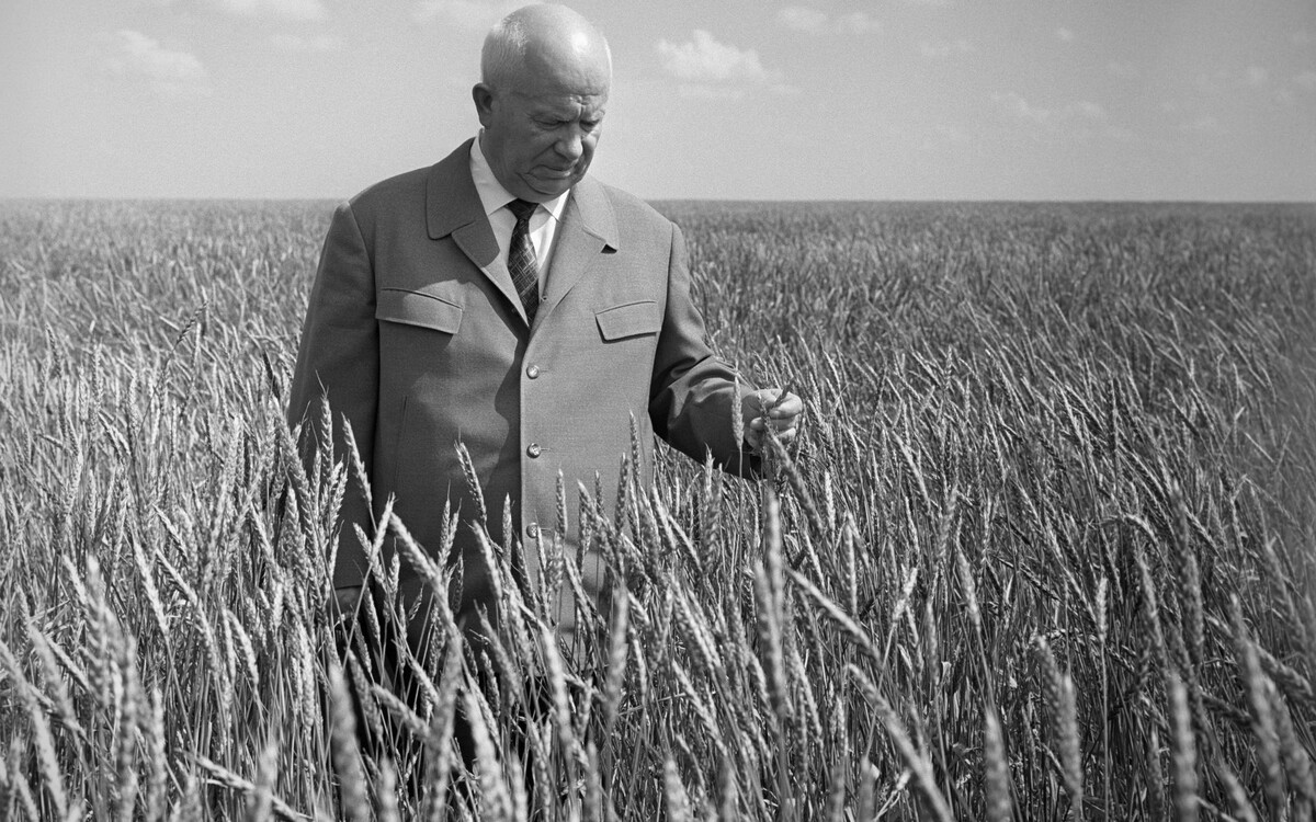 Никита Сергеевич Хрущёв, возглавлявший партийную вертикаль, искал путь к энергичному решению проблемы.