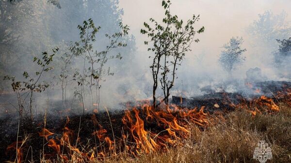    © МЧС России