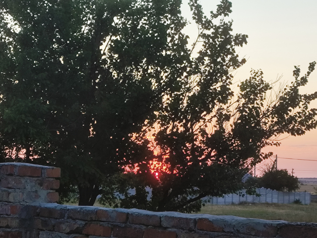 Вот почти правильный баргянец