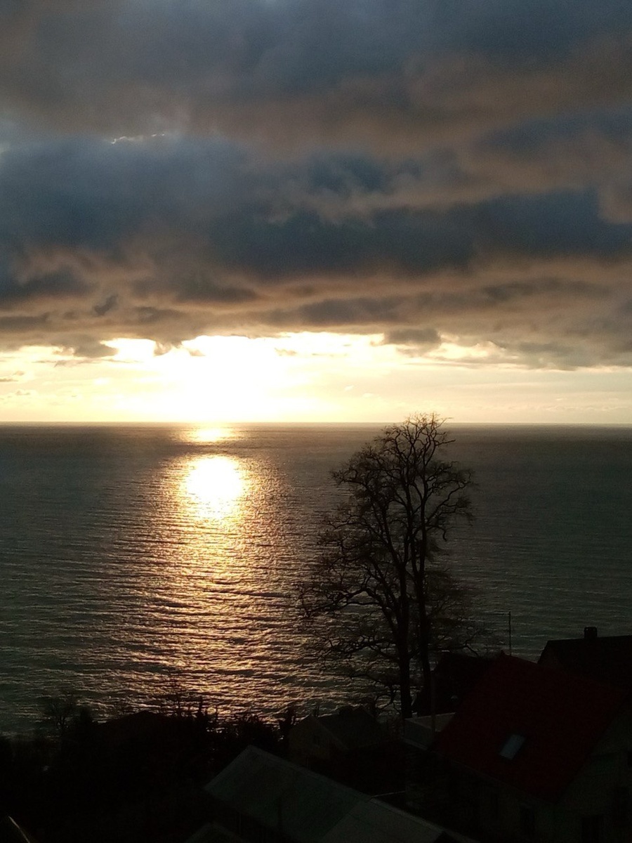 Сочи, январь 2016 года.