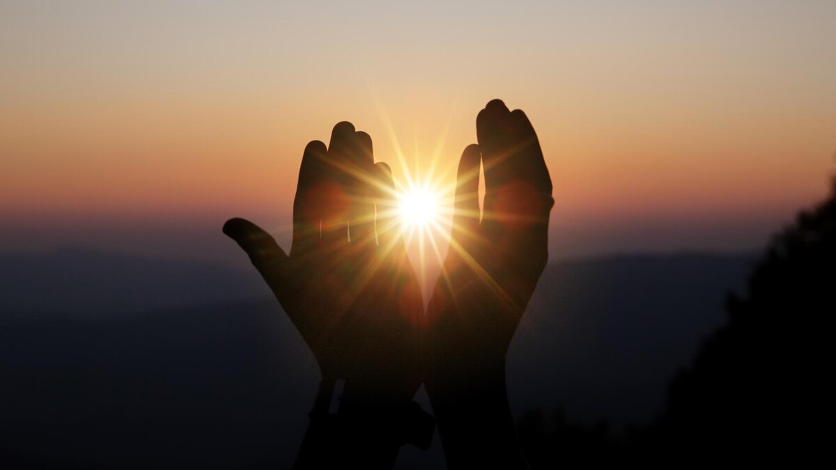 Фото: freepik.com