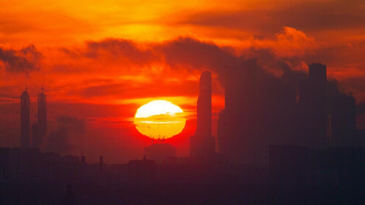 Фото: Roman Denisov/globallookpress.com