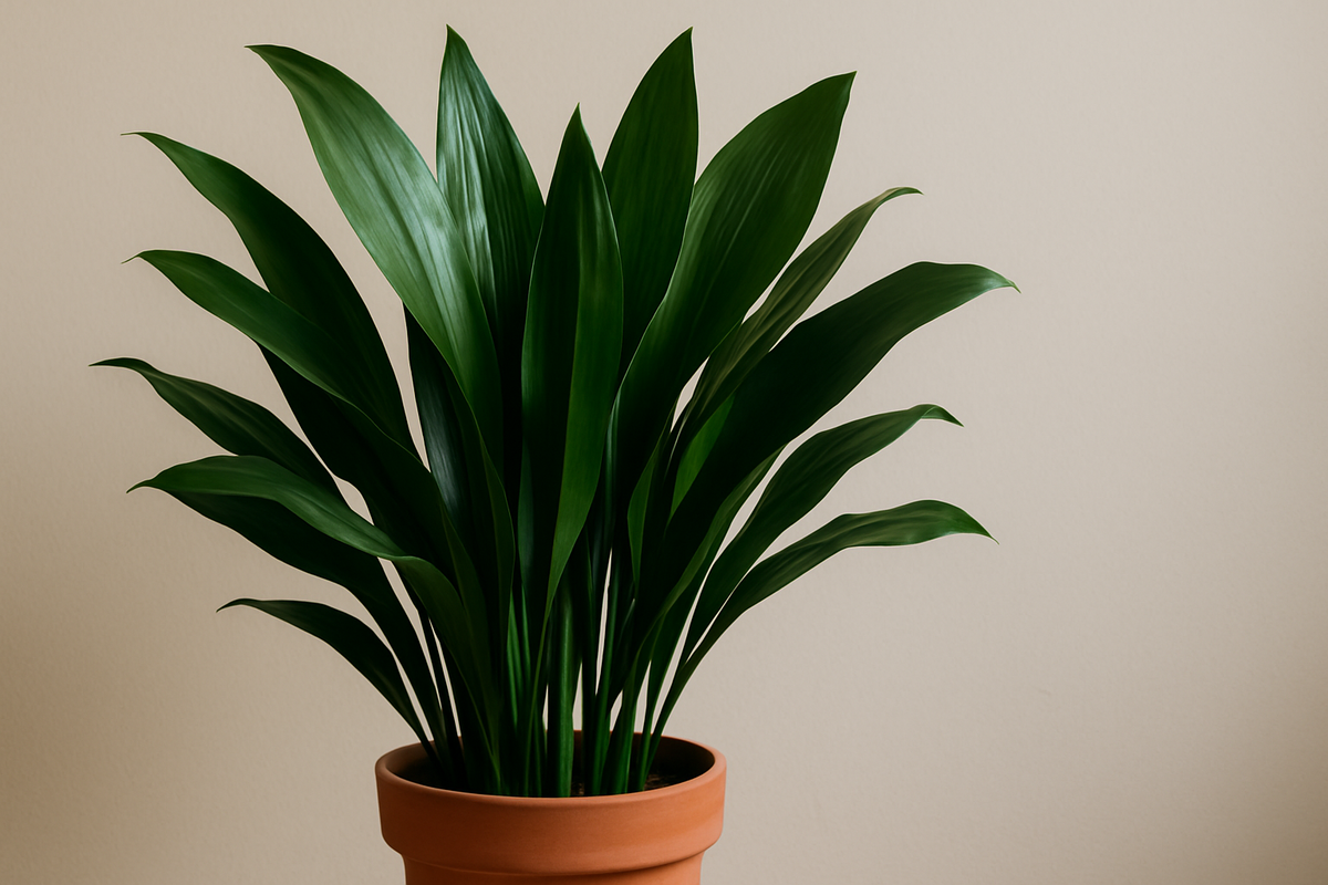 Изображение обработано с помощью ИИ