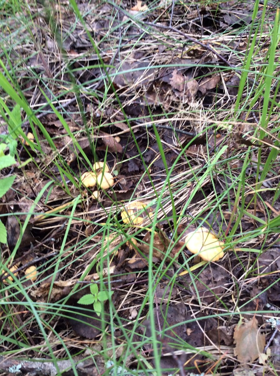 Фото Сергея Заплаткина. 20.06.25