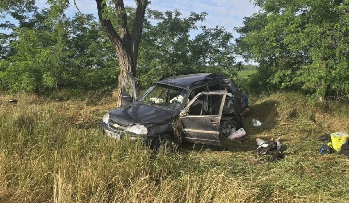    Фото t.me/gibdd123region