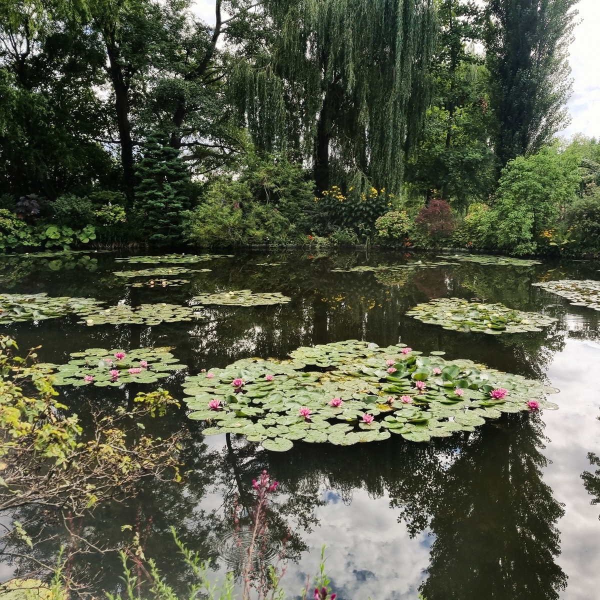 Фото из открытого источника