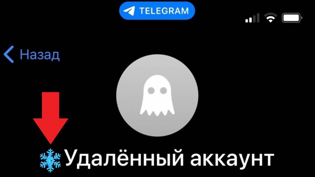 В Телеграме пишет, что удаленный аккаунт и значок снежинки !