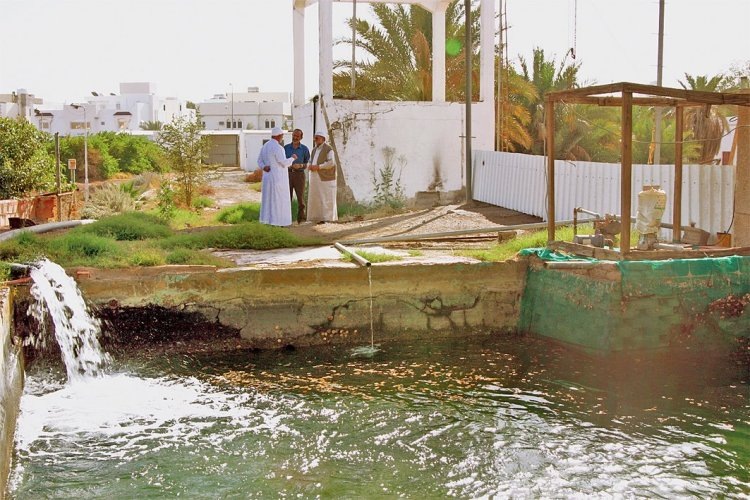 Источник: islamansiklopedisi.org.tr