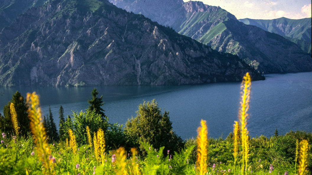    Фото: Roman Denisov/Globallookpress