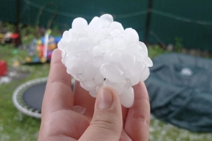    Фото: Ирина Тризнова