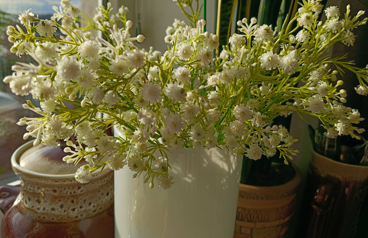 Просто фото