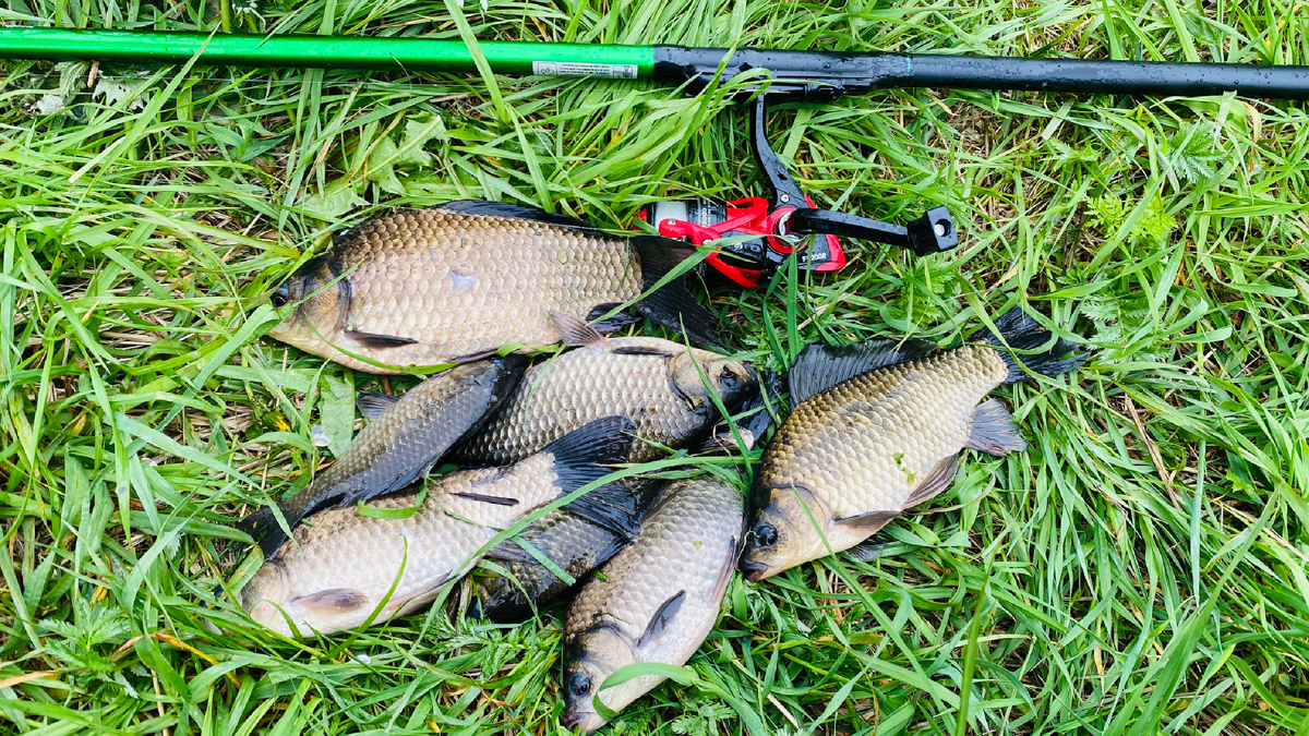 Рыбалка по простецки 