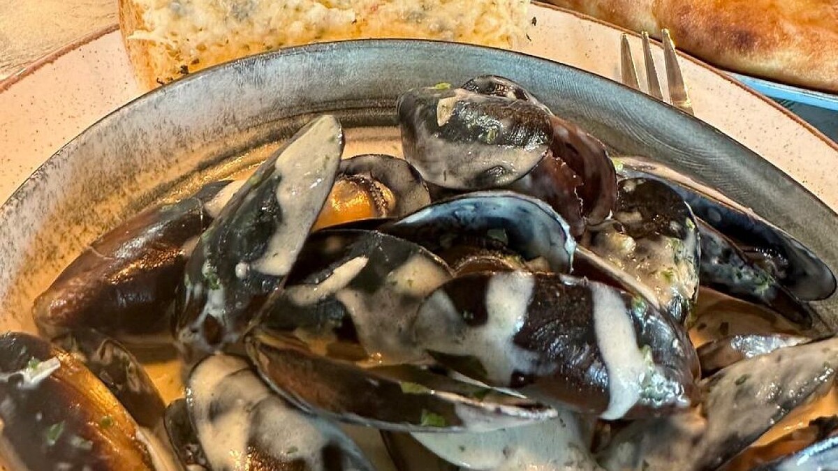    Фото: телеканал «Краснодар»