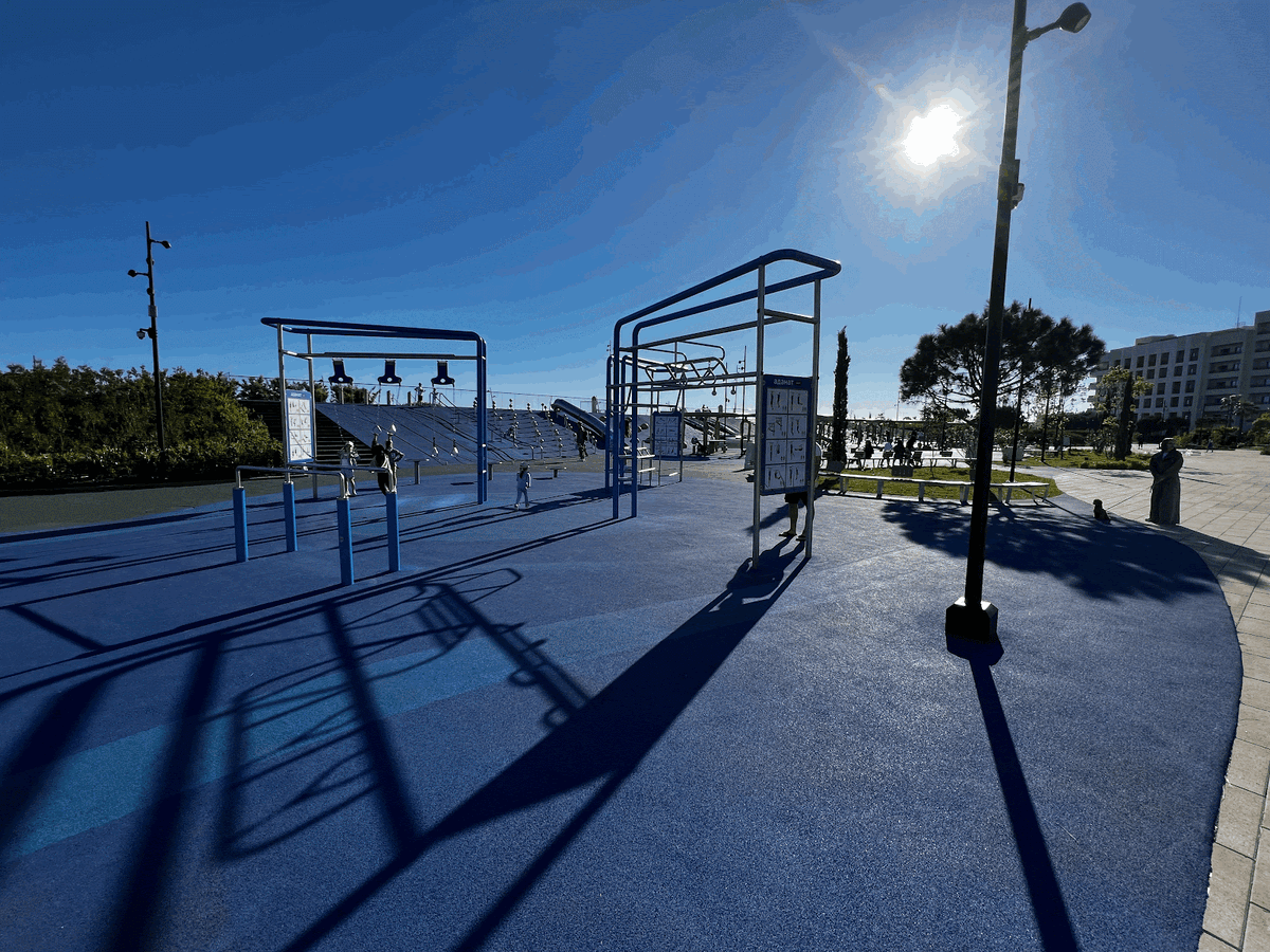 Тут же есть и воркаут зона (для уличных тренировок)