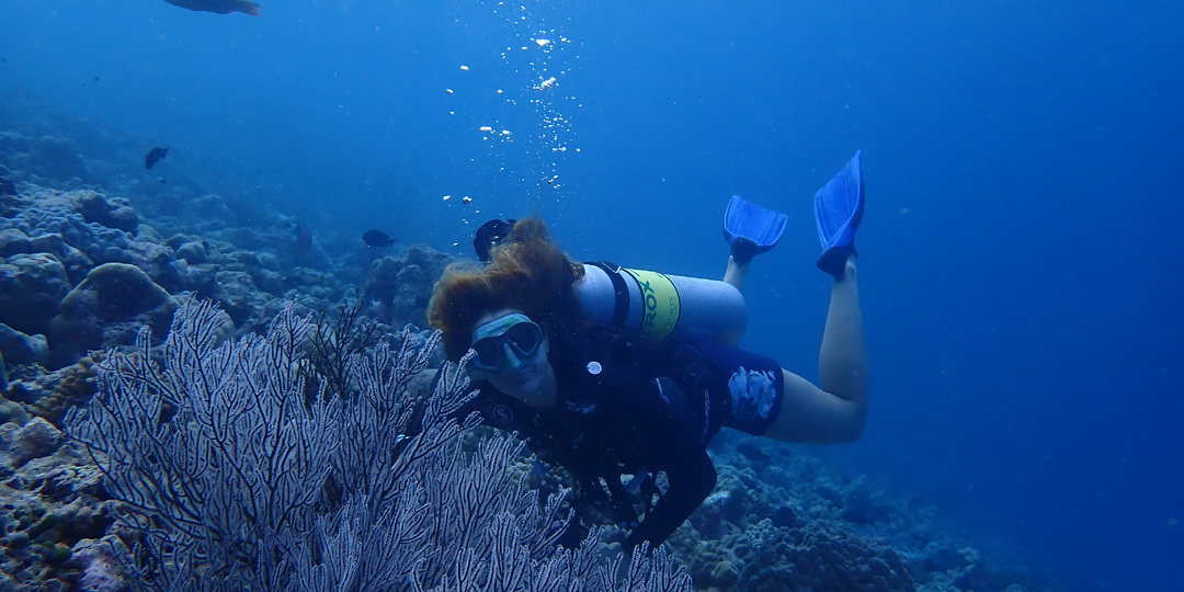 Про ДАЙВИНГ. Основы, история и как начать нырять новичку