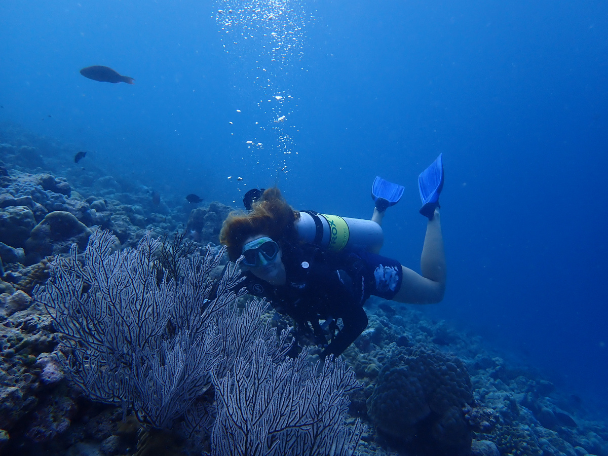 Дайвинг на Мальдивах