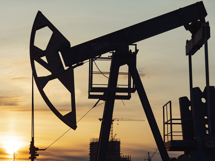 Oleg Spiridonov/Business Online/Global Look Press
