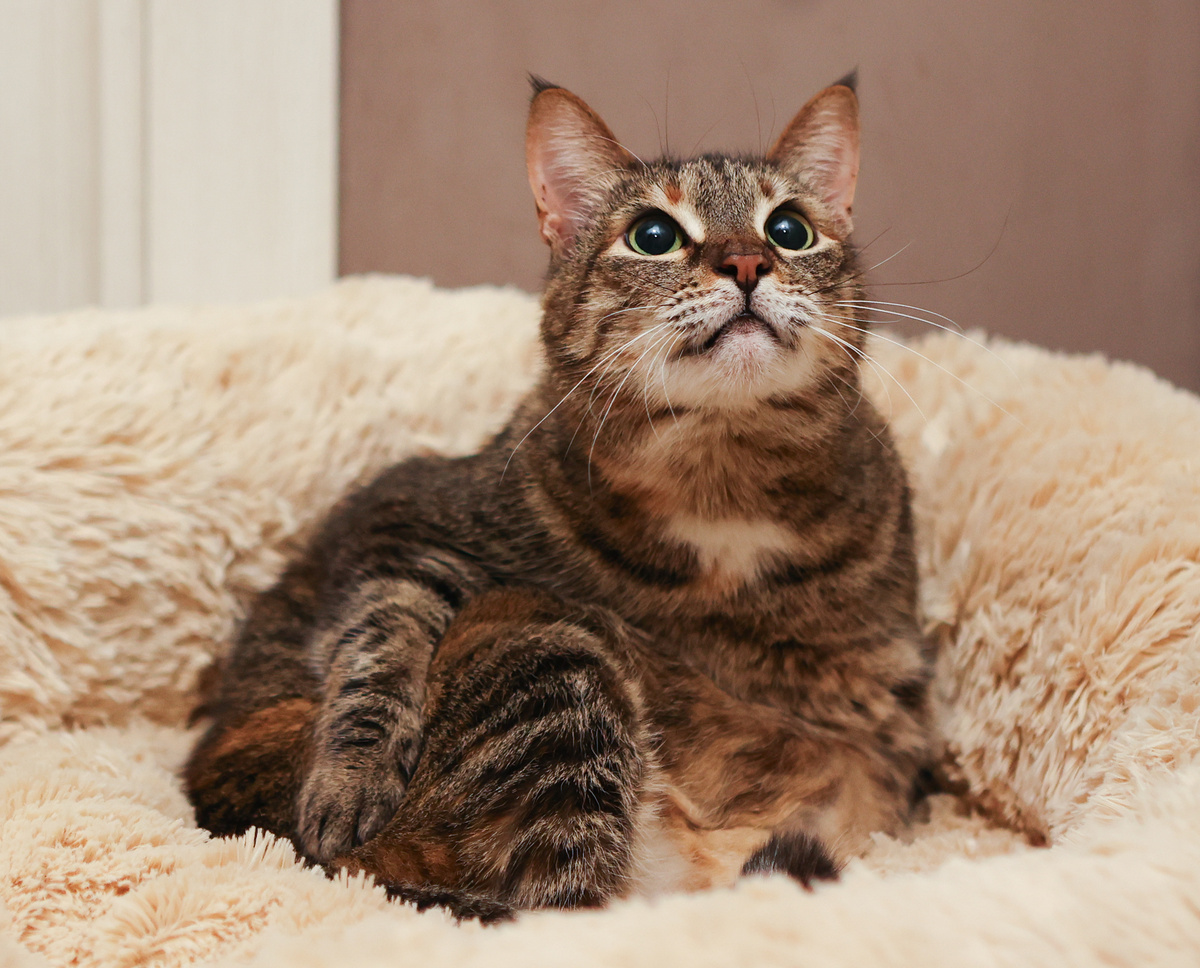 Я не злопамятная, но иногда всё-всё помню