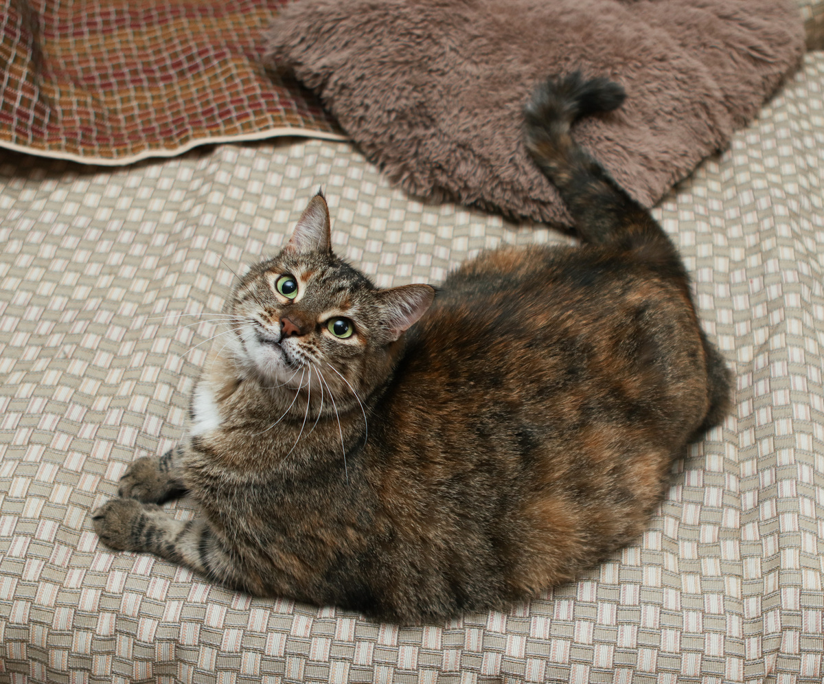 Ну обожглась один раз - теперь на воду иногда дую