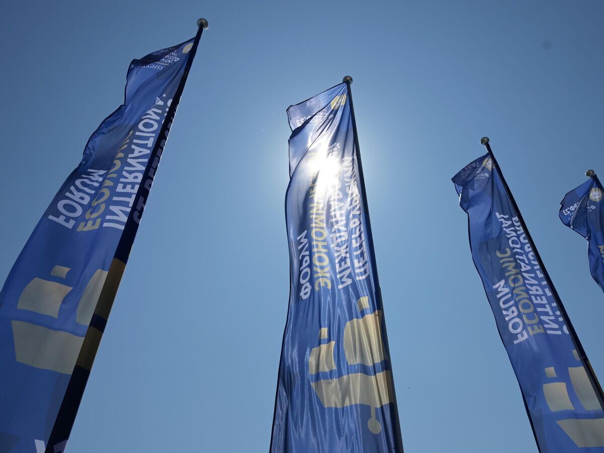    Флаги-баннеры форума у гостиницы Park Inn by Radisson "Пулковская" в преддверии ПМЭФ - 2023 в Санкт-Петербурге© Фотохост-агентство РИА Новости