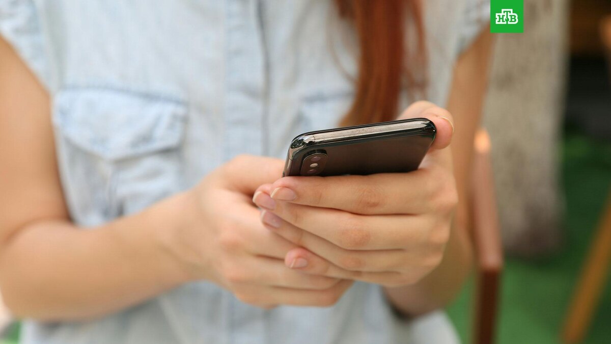    Фото: Yura Fresh / unsplash.com