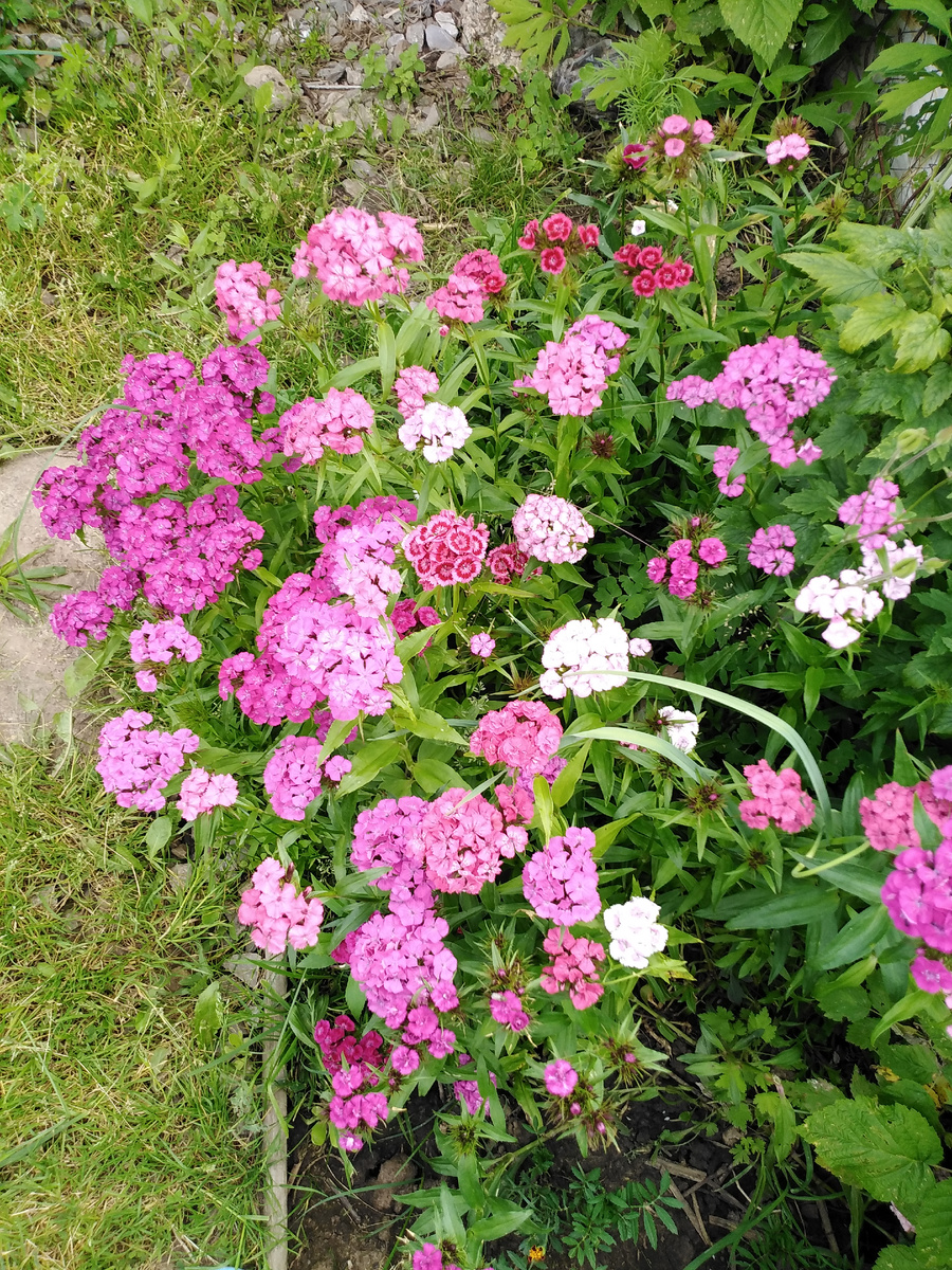 Личное фото