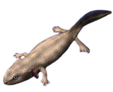 Реставрация триассуруса.