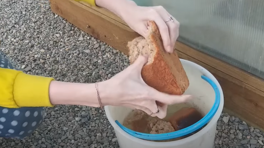 Копеечные корки против дорогой химии - результат говорит сам за себя