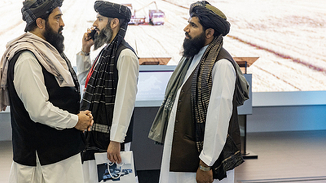    Фото: Aleksey Smyshlyaev/Globallookpress