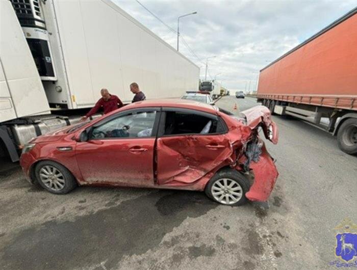    ФОТО: ГУ МВД по Самарской области