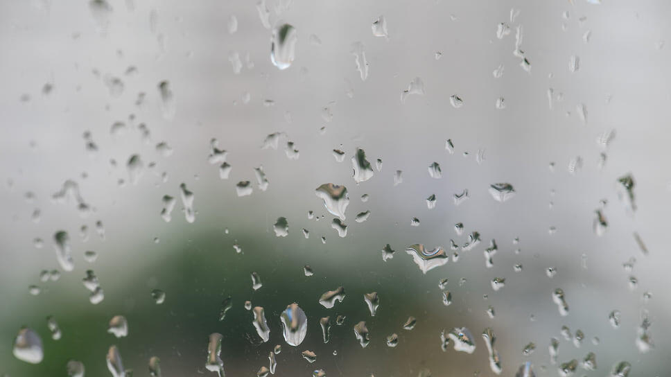 Фото: Олег Харсеев / Коммерсантъ