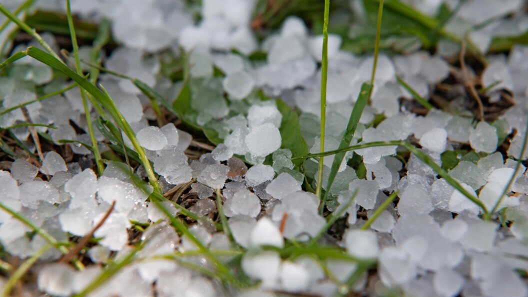    фото: Oleg Spiridonov/Business Online/Globallookpress