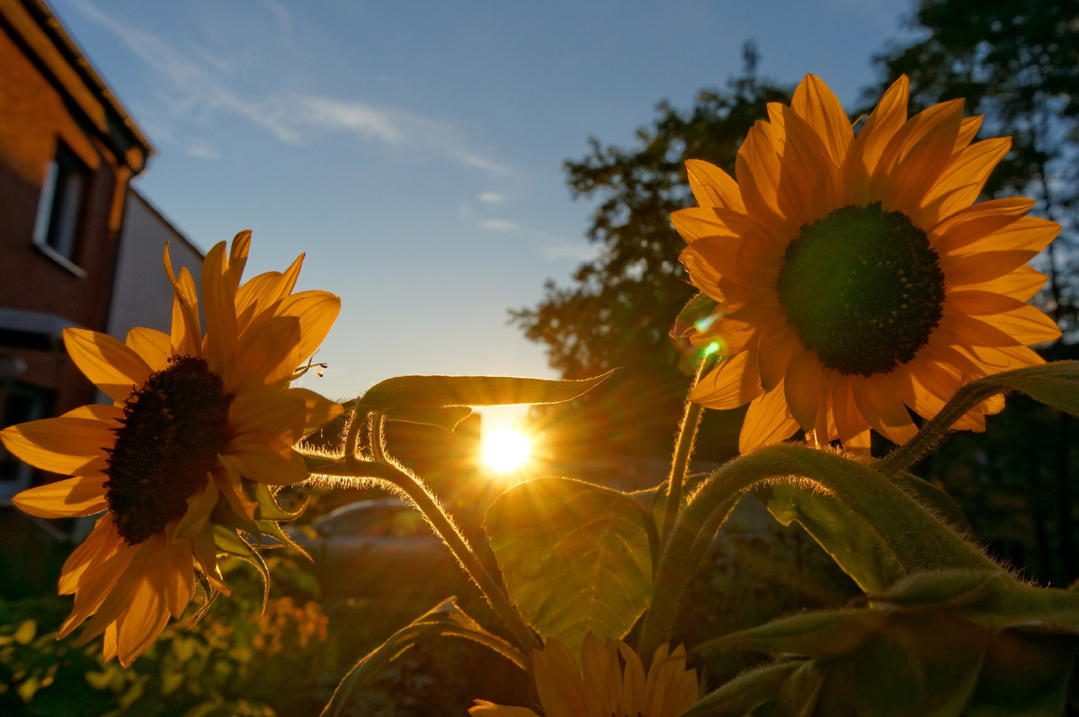 фото: Soeren Stache/ZB//Global Look Press