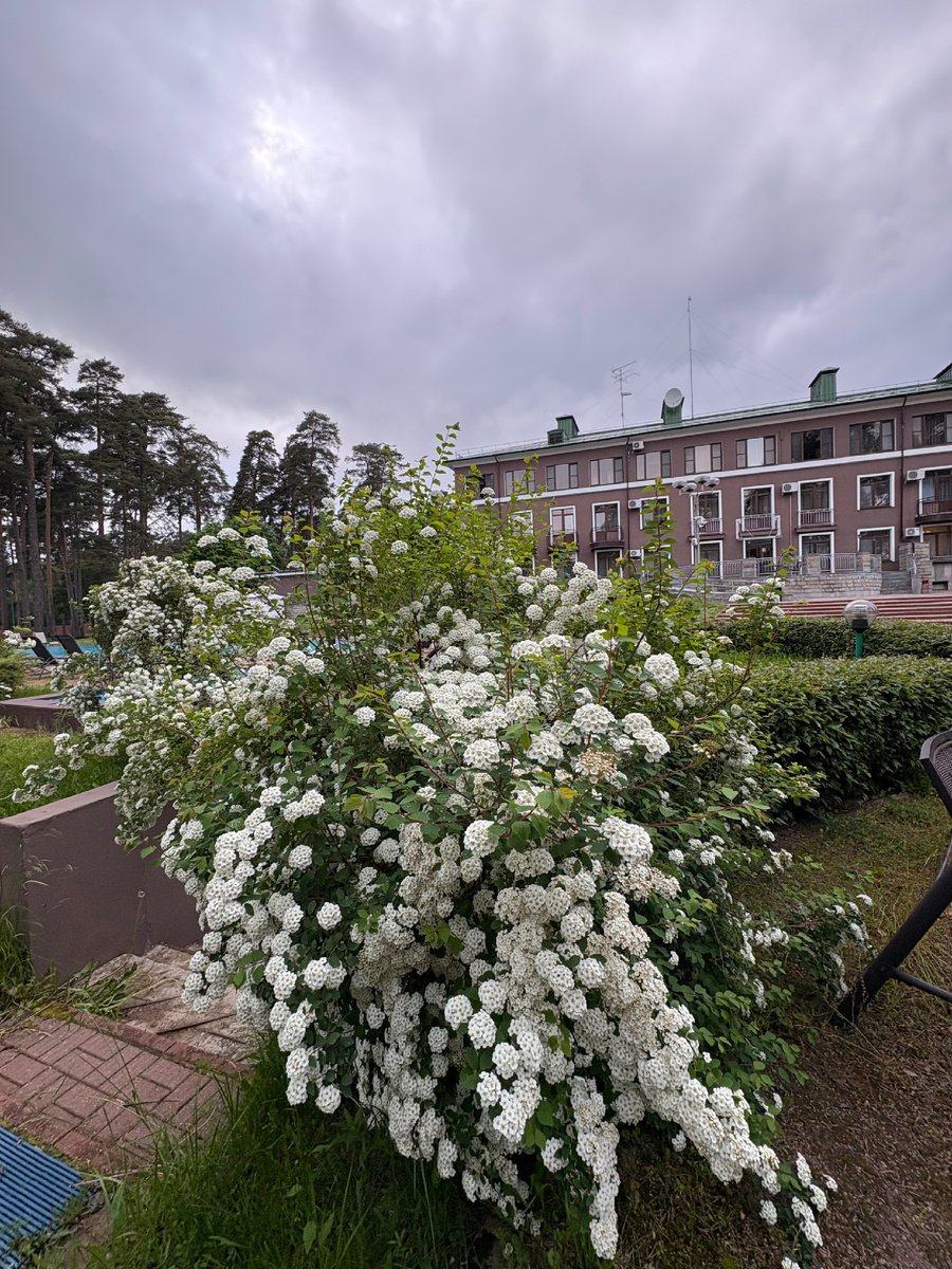 Фото автора.