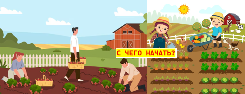 Планирование огорода: с чего начать?