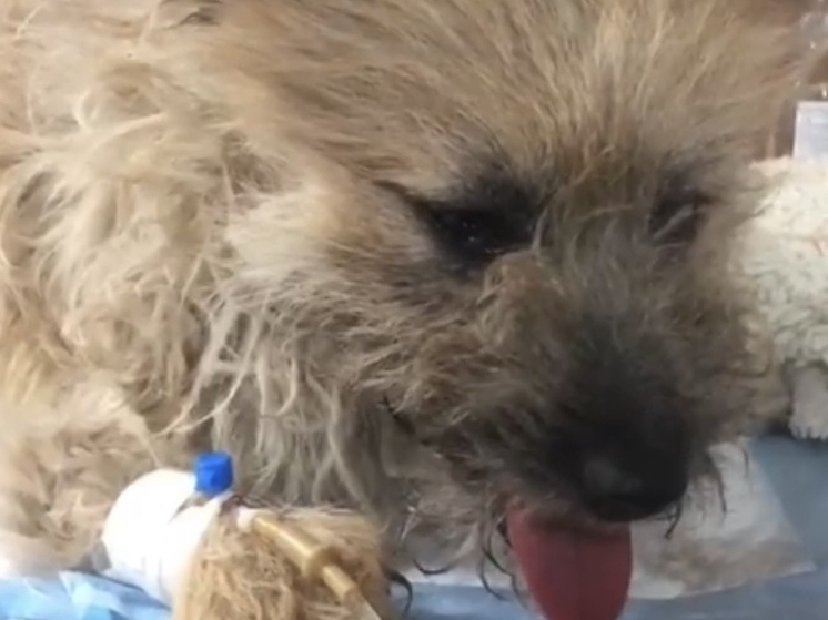    Фото: соцсети Редактор