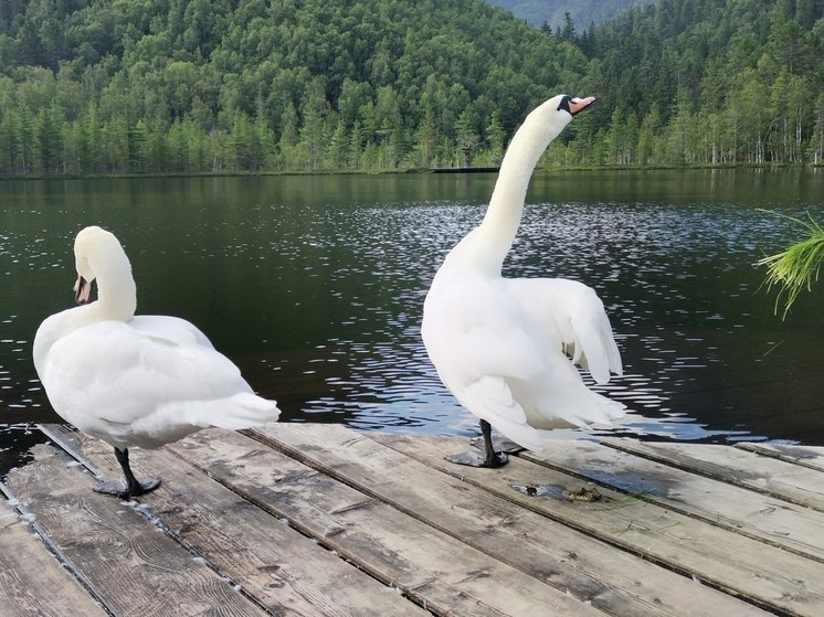   МК в Бурятии