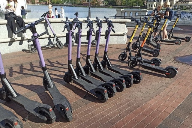   Фото из архива Калининград.Ru