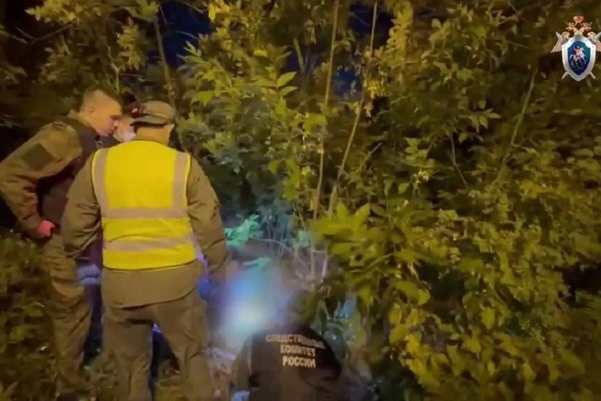     / Источник: © СК РФ